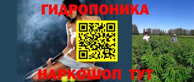 крисы Усть-Илимск