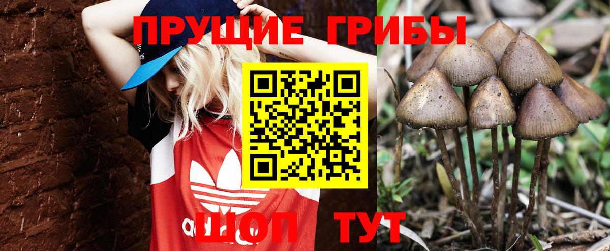 Галлюциногенные грибы GOLDEN TEACHER Большой Камень
