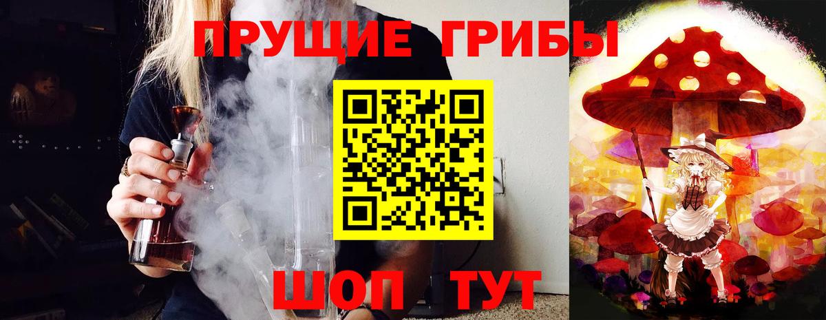Большой Камень  Псилоцибиновые грибы ЛСД  Вход с VPN  Псилоцибиновые грибы мухоморы 